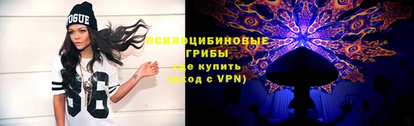 ПСИЛОЦИБИНОВЫЕ ГРИБЫ Богородицк