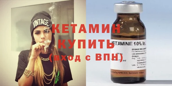 сатива Верея