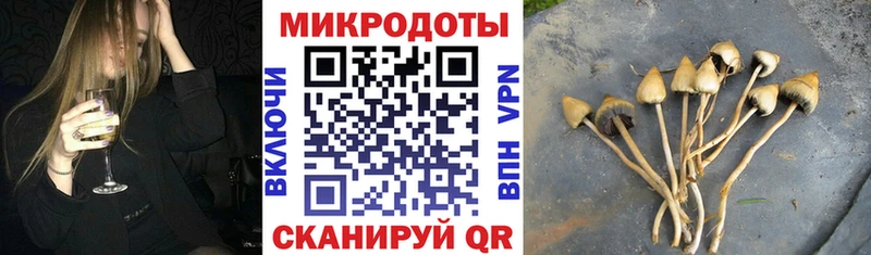 Купить закладки  Тосно  Галлюциногенные грибы Psilocybine cubensis 